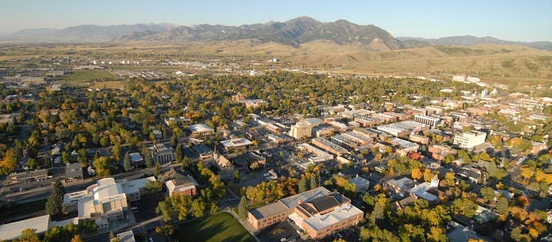 Downtown Bozeman Partnership - Image 1