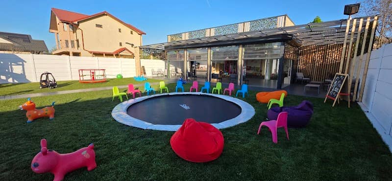 FUNGARDEN.RO - Image 1