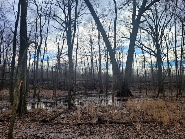 William J Robertson Nature Preserve (parking lot C) - Image 1