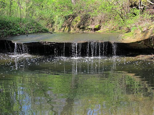 Bellerive Bird Sanctuary - Image 1