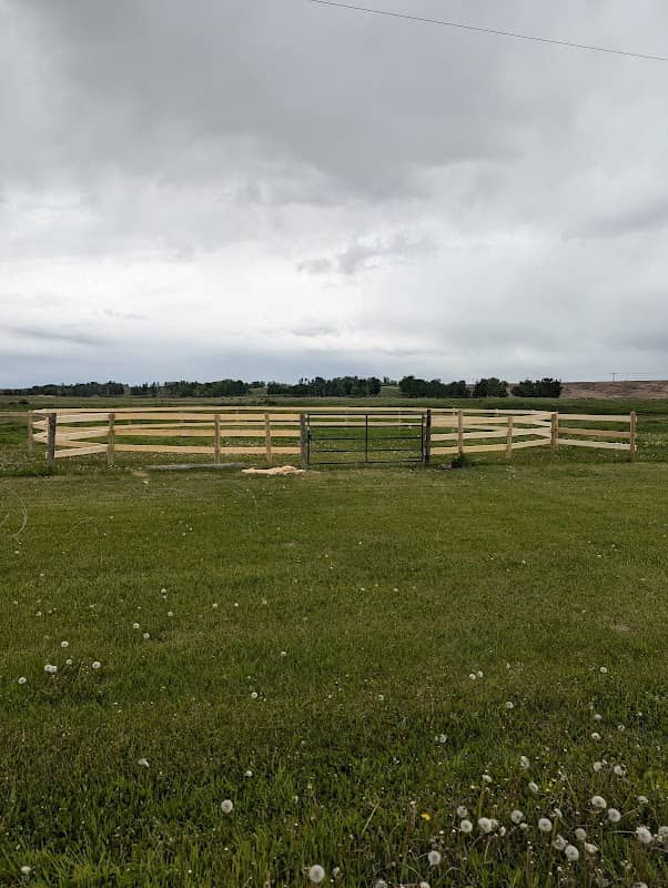 Wilder Farms - Horse boarding - Image 1