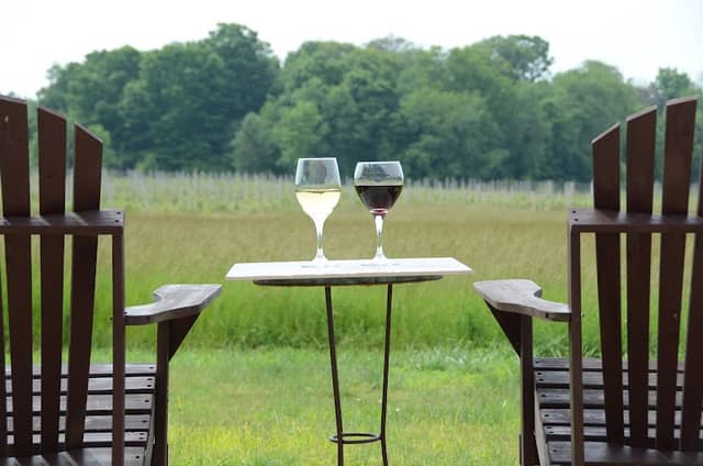 Cogdal Vineyards - Image 1