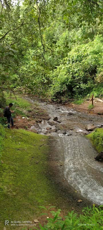 Sonshe waterfall - Image 2