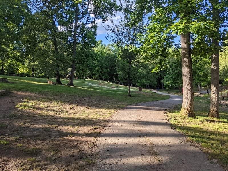 Dog Woods at Coleman Camp Park - Image 1