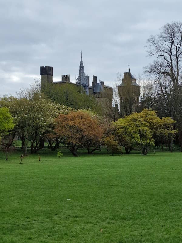 Bute Park - Image 2