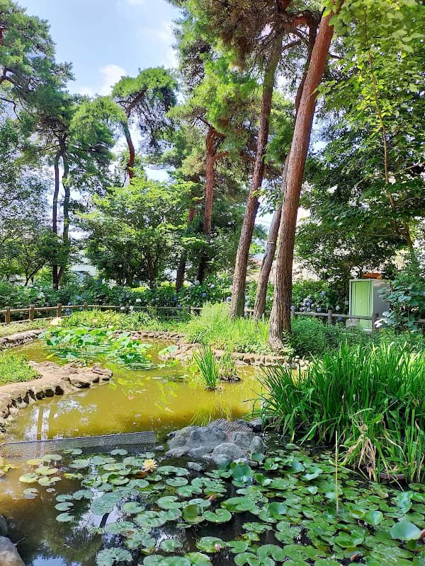 Ajisai Park - Image 2