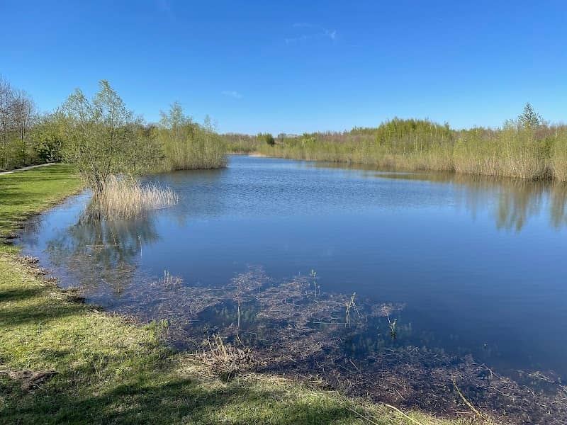 Vogelkijkhut Landgoed 't Veld - Image 1