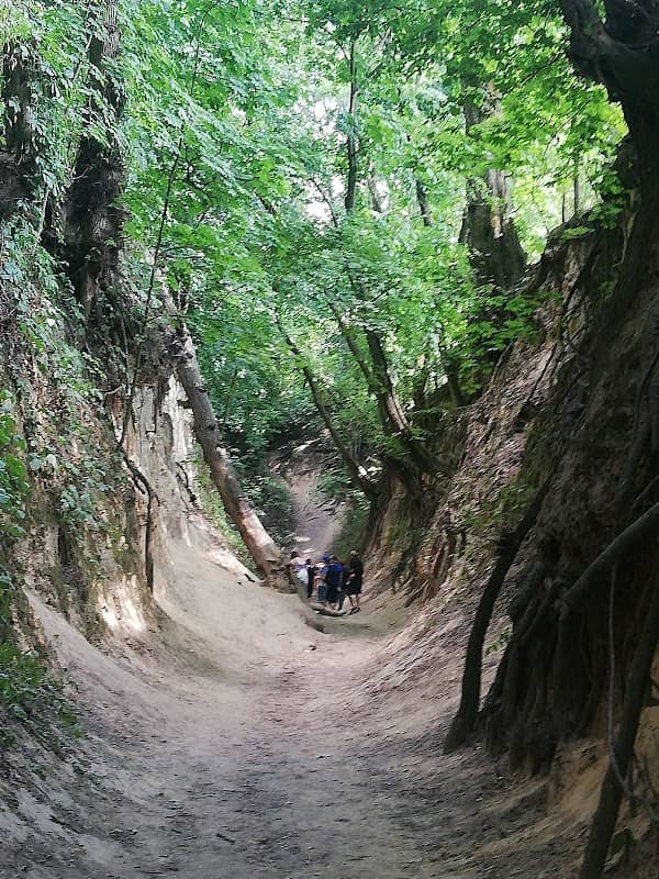 Ravine of Queen Jadwiga - Image 1