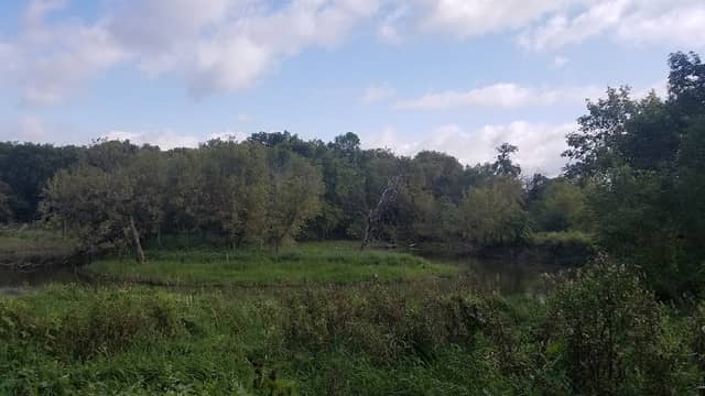 Lions Conservancy Park - Image 1