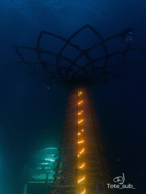 Nemo's garden - Image 1