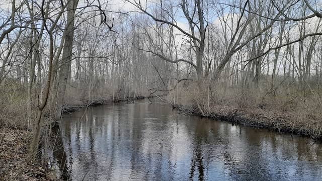Holt-Rice Creek Property - Image 1