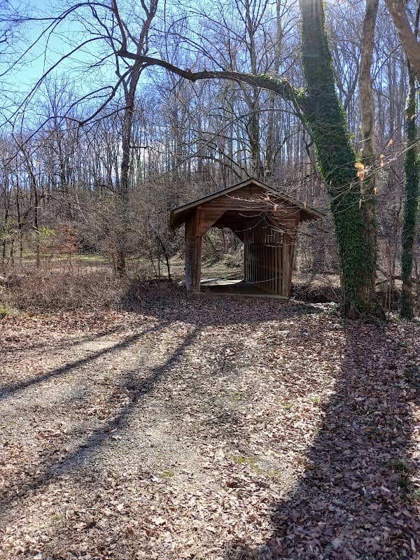 Wheeler National Wildlife - Image 2