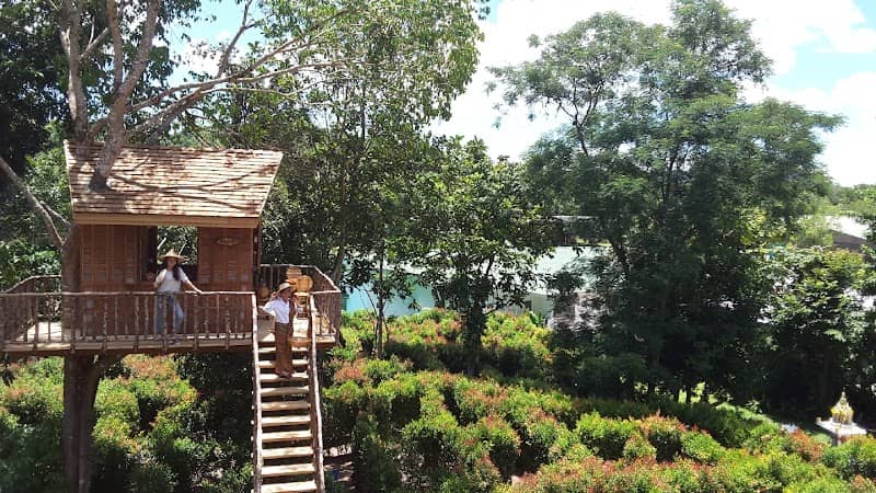 The Garden Maze Phuket - Get lost in the labyrinth @The Upside Down House - Image 1