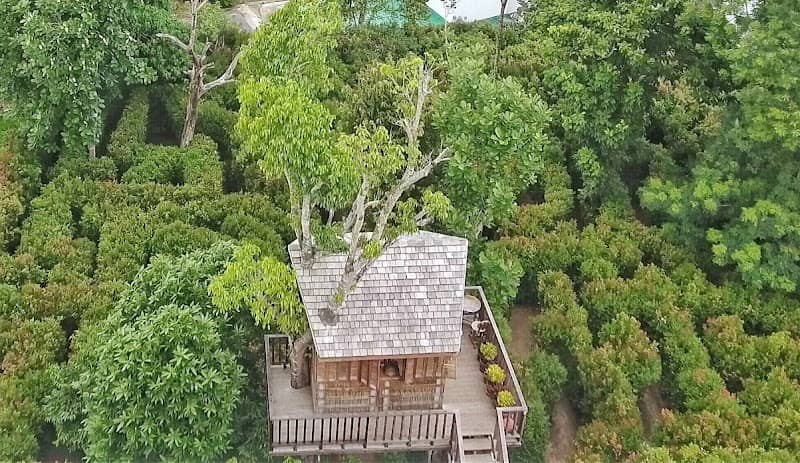 The Garden Maze Phuket - Get lost in the labyrinth @The Upside Down House - Image 2