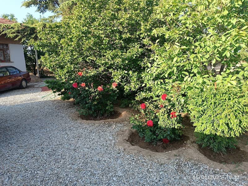 Mehmet Uğurlu bağ evi - Image 1