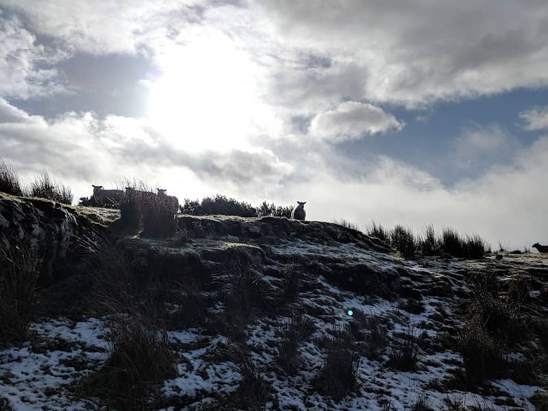 Lough na Cranagh Crannog - Image 2