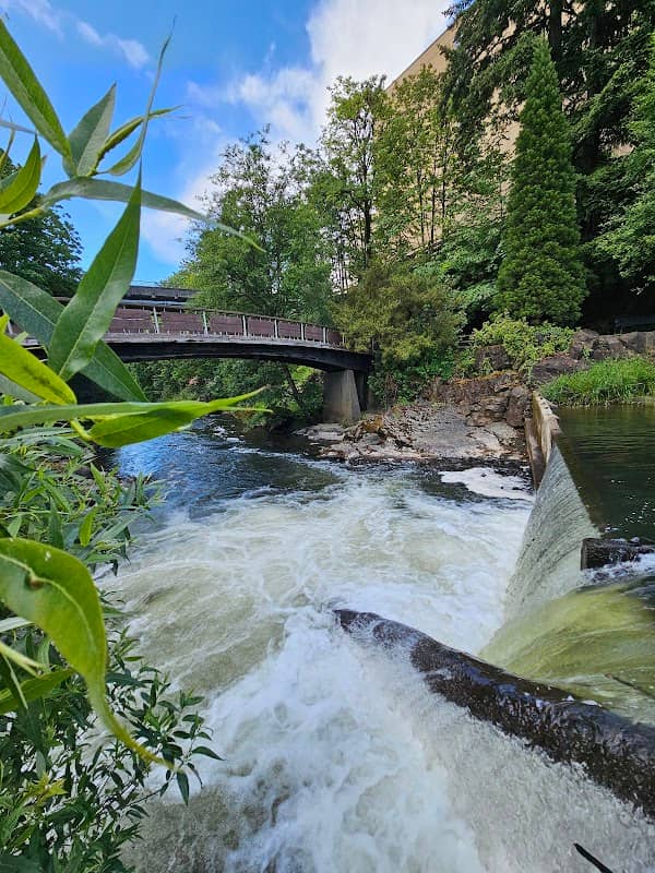 Tumwater Falls - Image 2