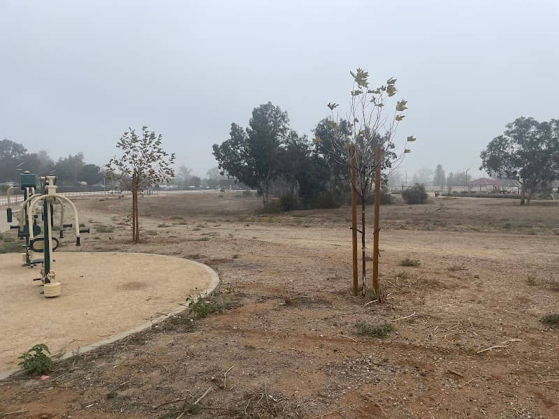 Horseshoe Lake Park - Image 1