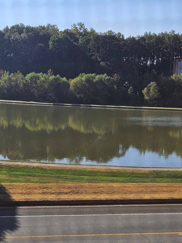 Sheatina Pond - Image 2