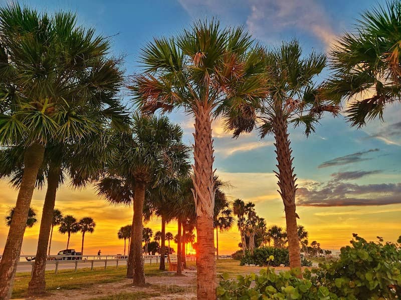 The Dunedin Causeway - Image 2