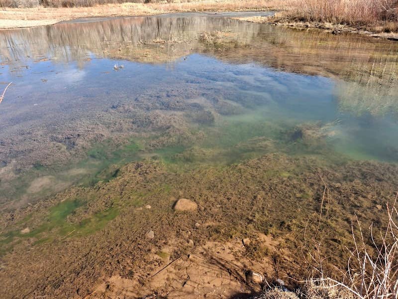 Jenkins Flat Interpretive Site - Image 2
