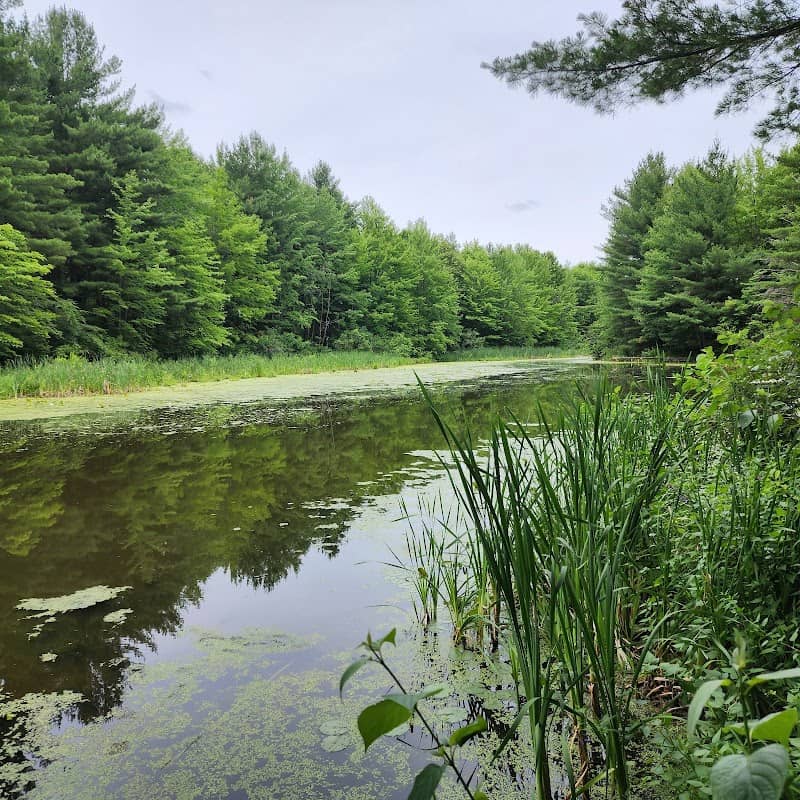 Otter Lake County Park - Image 1