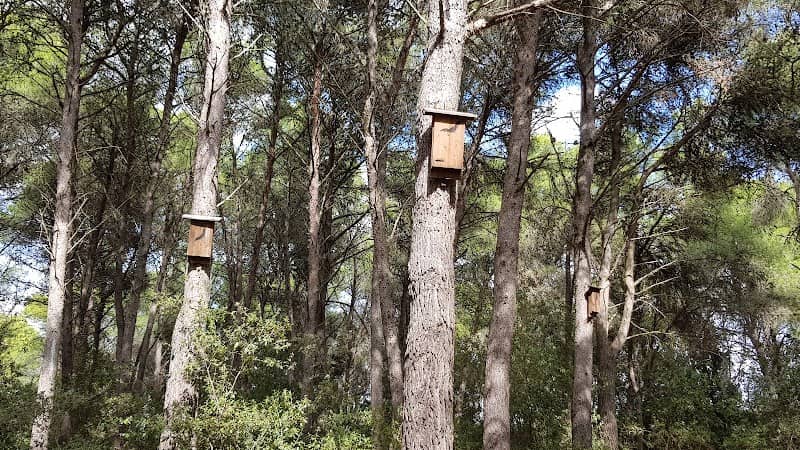 Calimera, Parco La Mandra - Image 1