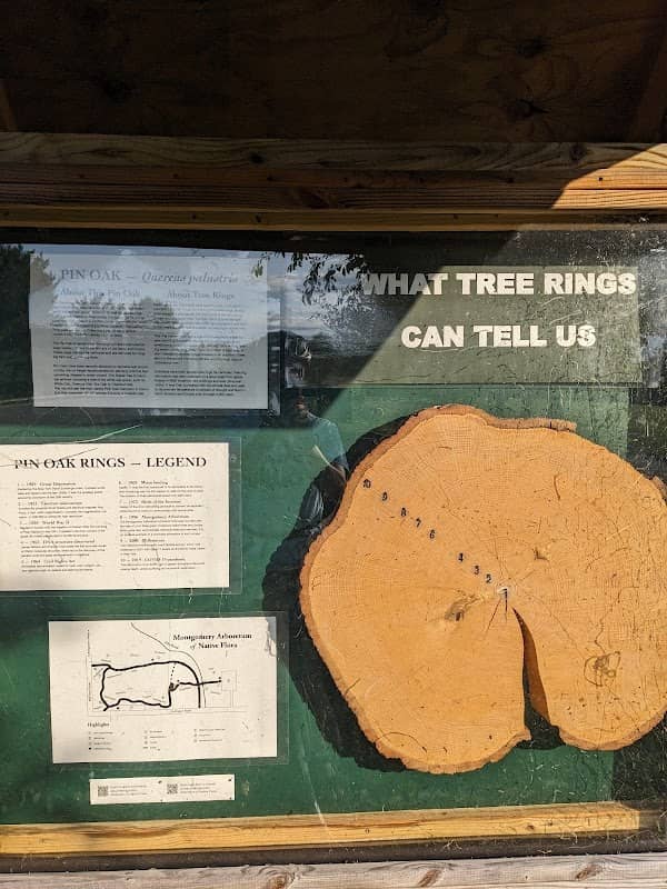 Informational Sign: Tree Rings - Image 1