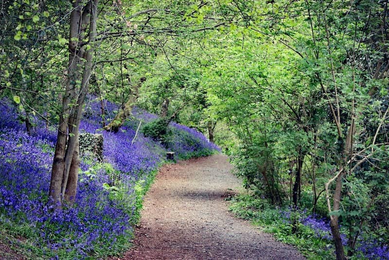 Parc Natur Penglais - Image 2