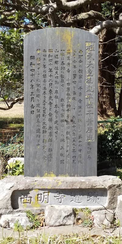 旧西明寺のなぎの大樹 - Image 1