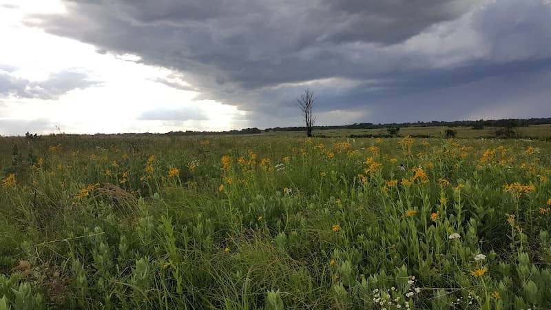 Pleasant Run Creek Prairie - Image 1