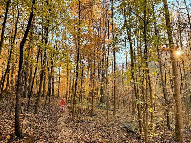 Girl Scout Trail (Carolina Thread Trail) - Image 1