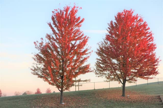 Civic Center Park Madison Heights - Image 2