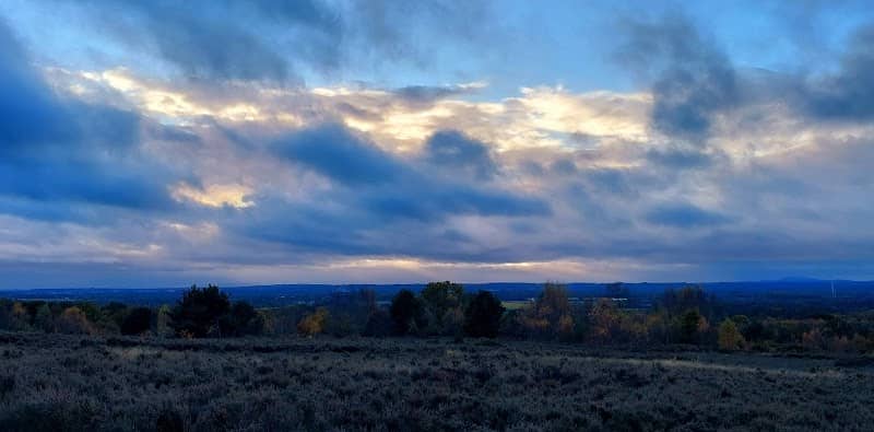 Shoal Hill Heathland View Point - Image 2