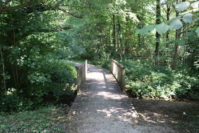 Quellpark kronthal - Image 1