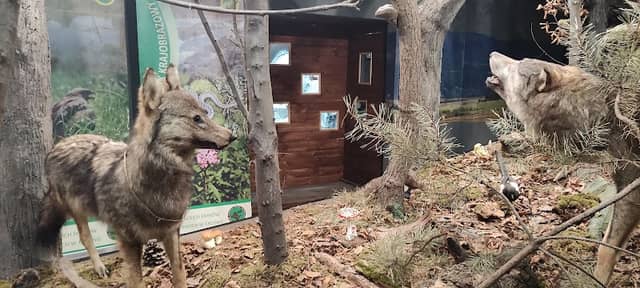 Zespół Karpackich Parków Krajobrazowych - Image 2