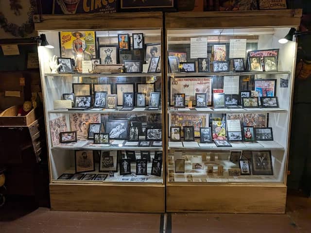 American Oddities Museum - Image 1