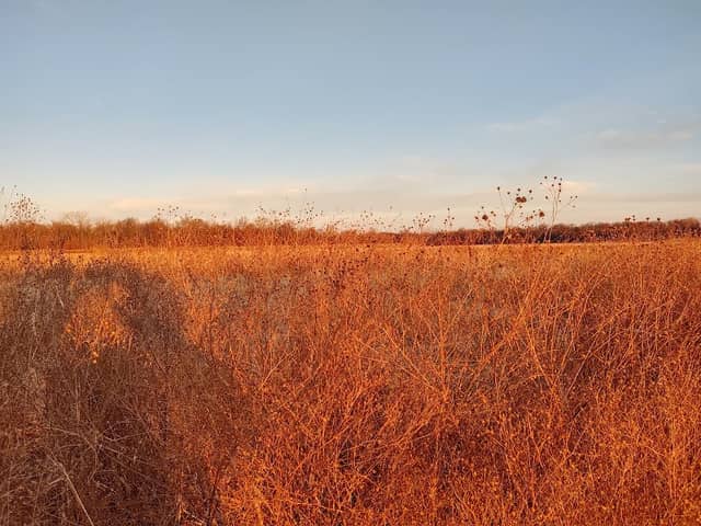 Neosho Wildlife Area - Image 2