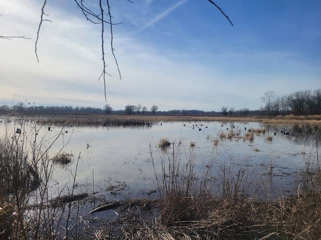 Neosho Wildlife Area - Image 1