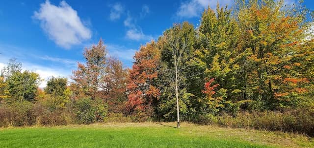 Garrett Wonders (Warren City) Bike Trail-Start - Image 1