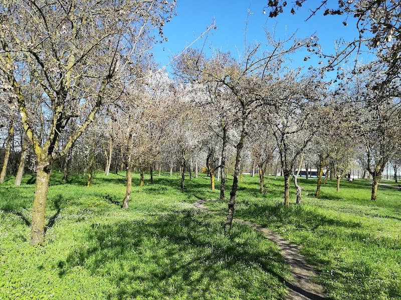 Viadana BIKE PARK - Image 1