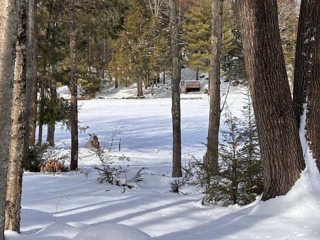 Baxter Lake Recreation Area - Image 2