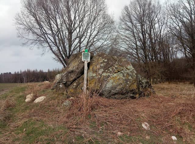 PUSTOWO, głaz narzutowy - Image 1