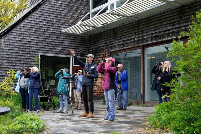 Maine Audubon - Image 2