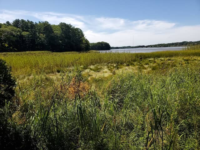 Maine Audubon - Image 1