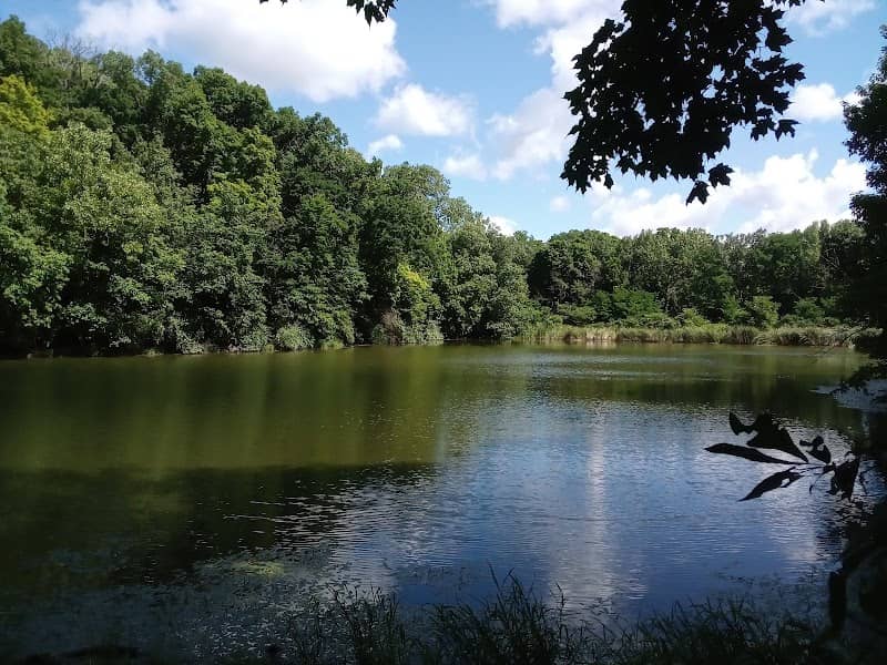 Illinois River Bluff Trail - Image 2