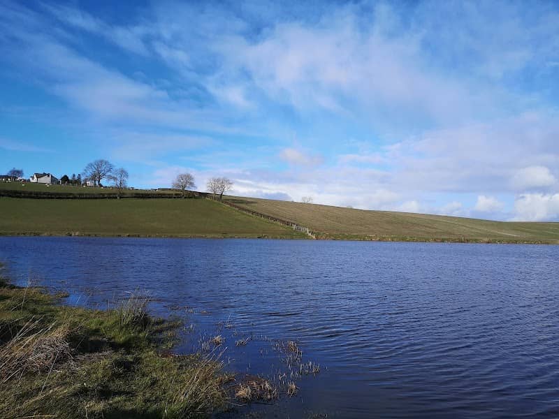Mc Courts Lough - Image 1