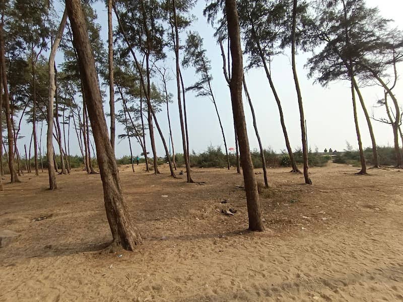 New digha picnic spot - Image 1