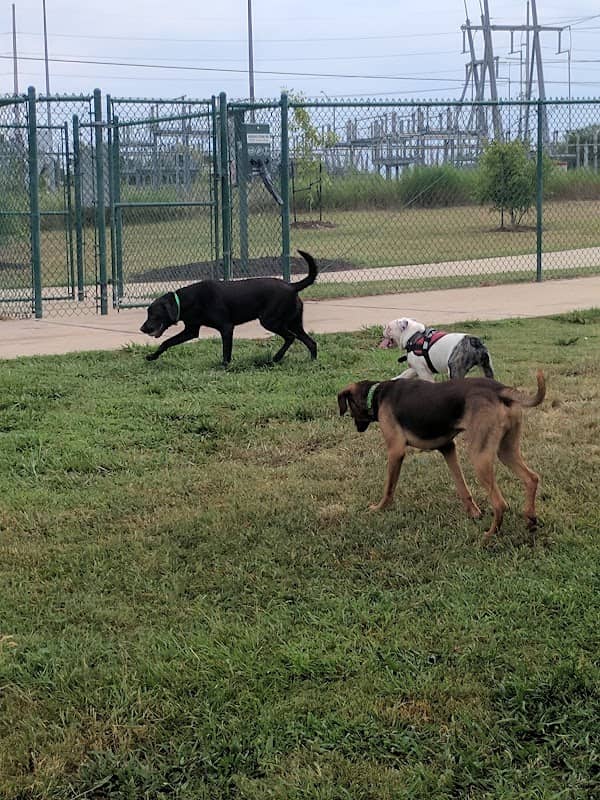 Hudson Park - Dog Park and Agility Course - Image 1