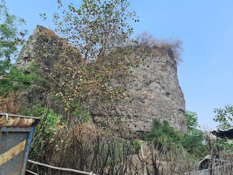 Dhamangaon Fortress - Image 2